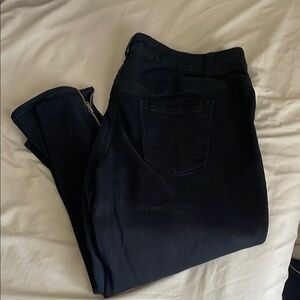LANE BRYANT Stylish Black Pants